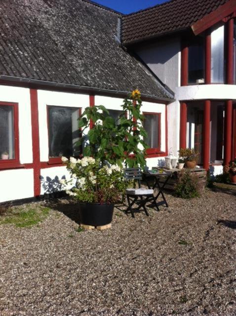 Praestogaard Bed & Breakfast Exterior photo
